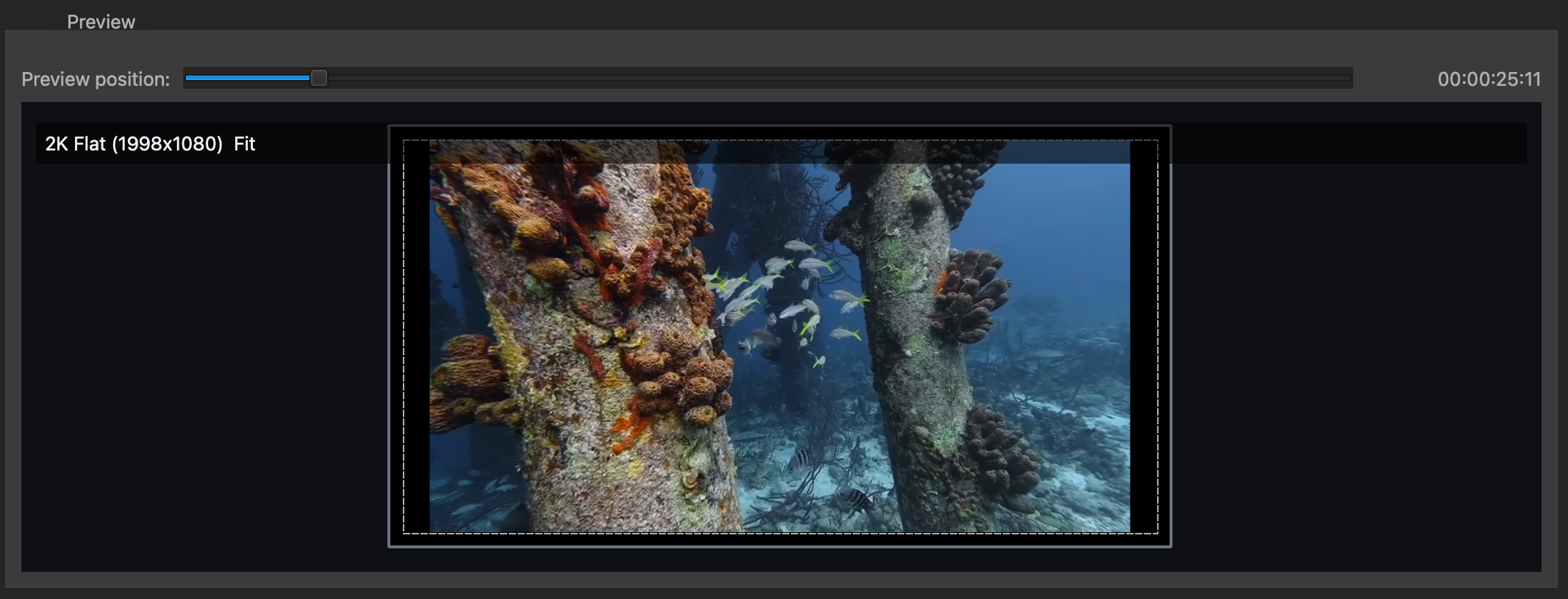 DaCaPo Import Video preview showing the source image inside the selected DCP output container