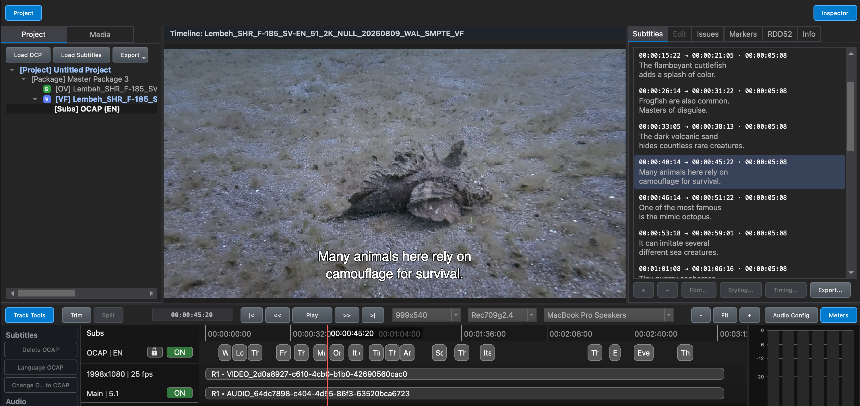 Imported subtitle track in the DaCaPo Timeline