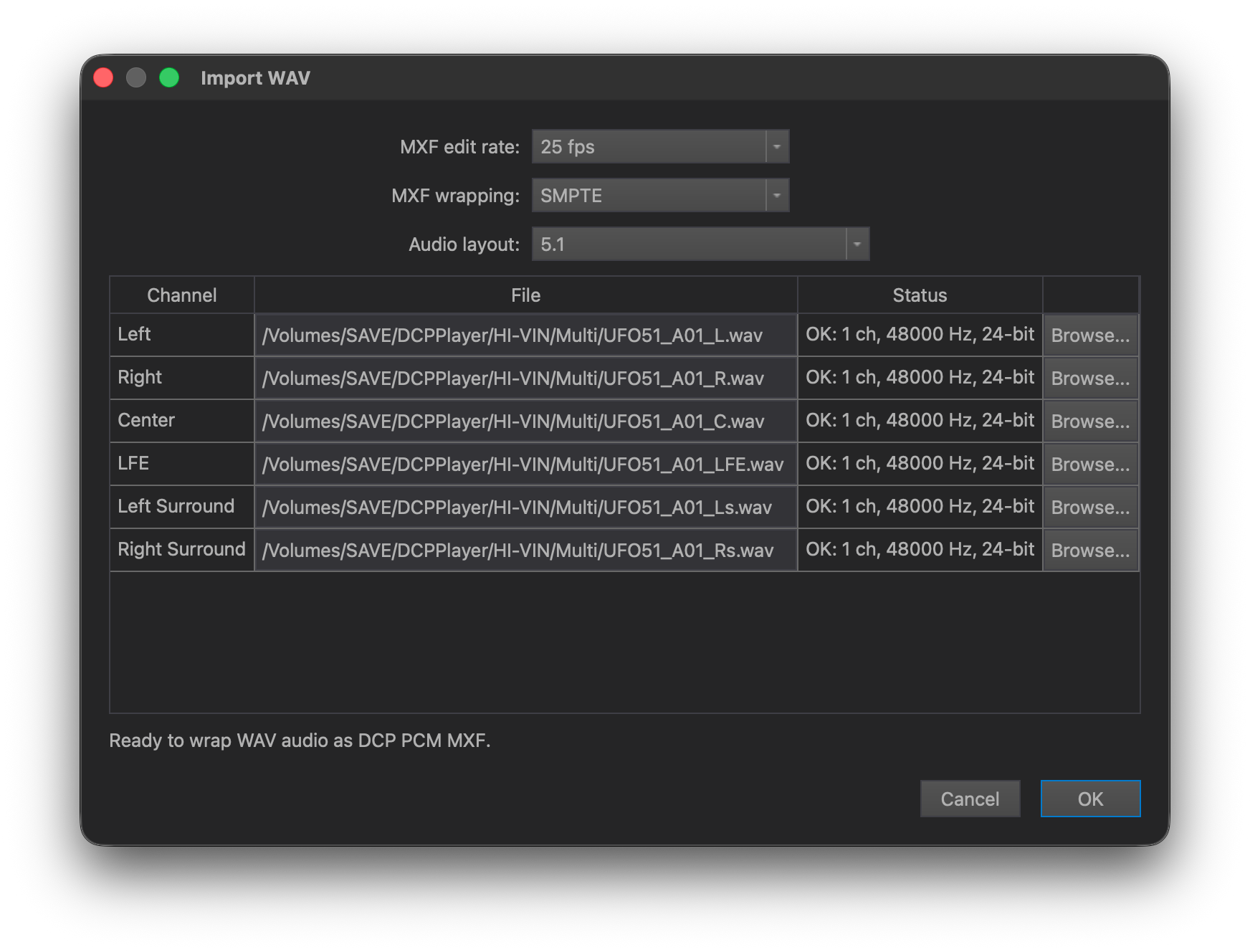 WAV Import dialog in DaCaPo showing audio layout and channel assignments